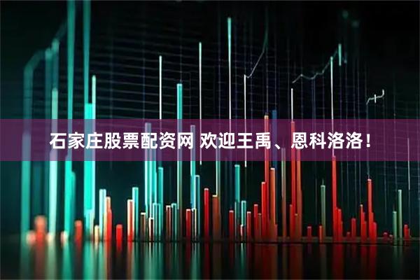 石家庄股票配资网 欢迎王禹、恩科洛洛！
